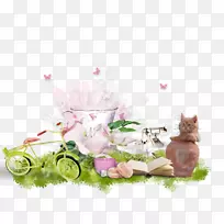 中心博客-空若网 中心博客-空若网