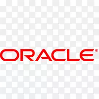 �׹��Ĺ�˾�׹������ݿ�ձ�NetSuite-�ձ�ai-������