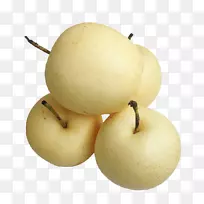 ѩ��(Pyrus Nivalis Pyrus Xd 7 Bretschneideri)ŷ���������ز�����-������