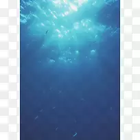 海洋-海洋-空若网 海洋-海洋-空若网