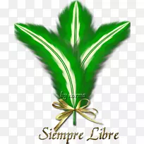 Ҷ���ƿ���������-÷��-������