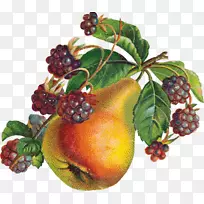 ��Ӱˮ������ʳƷ������ˮ��-������