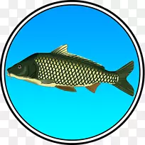 真正的钓鱼(关键)亲皮尔基2-冰上钓鱼游戏滑冰疯狂(3D赛车游戏)终极钓鱼模拟器-钓鱼-空若网 真正的钓鱼(关键)亲皮尔基2-冰上钓鱼游戏滑冰疯狂(3D赛车游戏)终极钓鱼模拟器-钓鱼-空若网