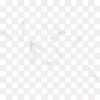 白花瓣剪贴画-VIP-空若网 白花瓣剪贴画-VIP-空若网