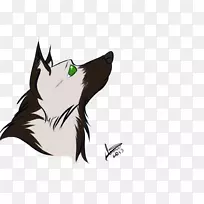 须画摄影.视频聊天-空若网 须画摄影.视频聊天-空若网