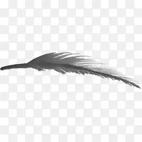 ��ëˮ�ʻ�������-������