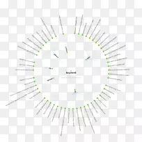 线点角-拉面-空若网 线点角-拉面-空若网