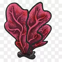 蛇蛛游戏玩家博客-珊瑚礁-空若网 蛇蛛游戏玩家博客-珊瑚礁-空若网