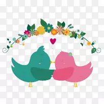 巴西爱-一对鸟类-空若网 巴西爱-一对鸟类-空若网