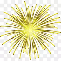 Adobe烟花-酷烟花-空若网 Adobe烟花-酷烟花-空若网