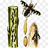 ����-�۷������-������