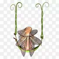 昆虫植物茎叶花-空若网 昆虫植物茎叶花-空若网