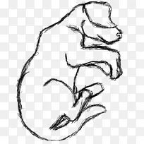 食肉手指视觉艺术素描睡眠素描-空若网 食肉手指视觉艺术素描睡眠素描-空若网