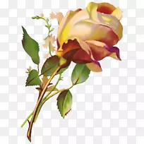 花卉剪纸桌面壁纸剪贴画-弗洛雷斯PNG-空若网 花卉剪纸桌面壁纸剪贴画-弗洛雷斯PNG-空若网