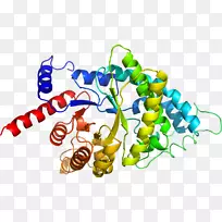 蔬菜有机体剪贴画-蔬菜-空若网 蔬菜有机体剪贴画-蔬菜-空若网