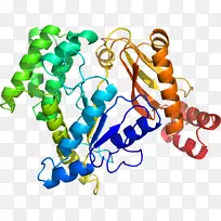 人体首饰有机体线剪贴画线-空若网 人体首饰有机体线剪贴画线-空若网