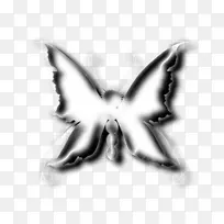 蛾对称白色字体-空若网 蛾对称白色字体-空若网