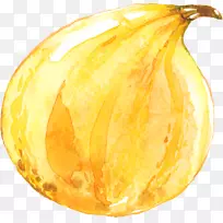 谷歌图片设计师下载-金秋南瓜-空若网 谷歌图片设计师下载-金秋南瓜-空若网