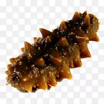 ����Ϊʳ-������