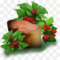 �����Ӽ�����.�ֻ渲����-������