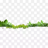 �̶������ķ��԰����԰�Ƶ�-�˵�Ҷ-������