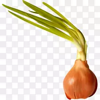 ��д���ʳƷ������-�൱�д�������-������