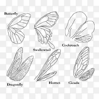 蝴蝶昆虫翅蝶-空若网 蝴蝶昆虫翅蝶-空若网