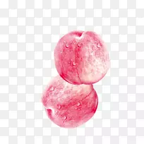 ÍÁÐÇÌÒ×Ó-¿ÕÈôÍø ÍÁÐÇÌÒ×Ó-¿ÕÈôÍø