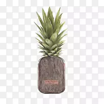 冰镇菠萝,西瓜,水果,冰,手绘创意菠萝-空若网 冰镇菠萝,西瓜,水果,冰,手绘创意菠萝-空若网