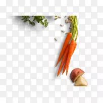 婴儿胡萝卜宠物食品配方天然成分-空若网 婴儿胡萝卜宠物食品配方天然成分-空若网