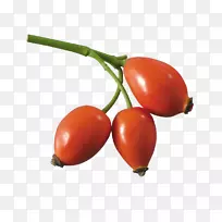 海滩月季蔷薇多花油奥格里斯-野玫瑰果-空若网 海滩月季蔷薇多花油奥格里斯-野玫瑰果-空若网