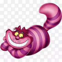 ��è�����Ħְ���˿���ɾ�-��è����˿���ɾ�-������