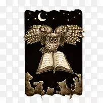 长袖t恤上衣领口-空若网 长袖t恤上衣领口-空若网