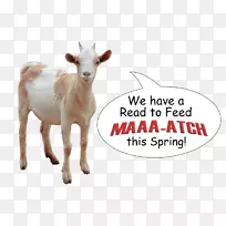 山羊牛角野生动物鼻子-山羊吃-空若网 山羊牛角野生动物鼻子-山羊吃-空若网