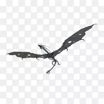 白人-人-空若网 白人-人-空若网