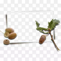 �;�.���Ƭ-������