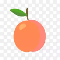 葡萄柚圣马美杏果实外露-果实解剖-空若网 葡萄柚圣马美杏果实外露-果实解剖-空若网