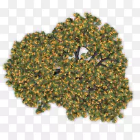 ����-������