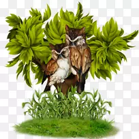 动画剪贴画-树上的猫头鹰-空若网 动画剪贴画-树上的猫头鹰-空若网