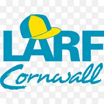 击败癌症的比赛5k平方康沃尔槟城桥国际马拉松赛棒球-空若网 击败癌症的比赛5k平方康沃尔槟城桥国际马拉松赛棒球-空若网