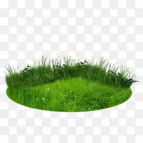 ������-ֲ��-������