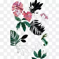 花画墙纸-植物-空若网 花画墙纸-植物-空若网