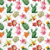 肉质植物仙人掌科绿色植物手绘水彩植物-空若网 肉质植物仙人掌科绿色植物手绘水彩植物-空若网