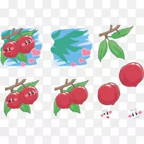 插图-桃树表达载体-空若网 插图-桃树表达载体-空若网