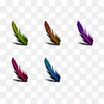 ��ë�Ϸ���-������