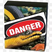 黄腹海蛇珀斯薄荷珊瑚礁蛇硬币海蛇-空若网 黄腹海蛇珀斯薄荷珊瑚礁蛇硬币海蛇-空若网