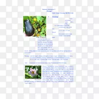 ���ֲ�-��-������