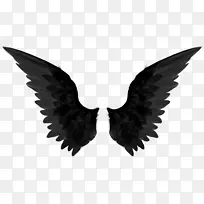 ��˹�ٶ��϶��³�˹��ɽķ�³�˹����ʹt����ɫ���png-������