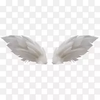 ��������-�׳��PNG-������