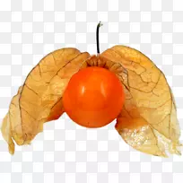 秘鲁地樱桃水彩灯笼-空若网 秘鲁地樱桃水彩灯笼-空若网